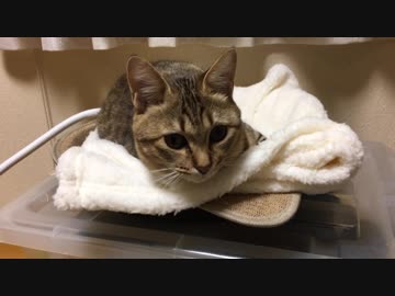 ＃70　何とか使ってくれました