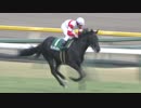2019年 第53回 共同通信杯（GⅢ） ダノンキングリー