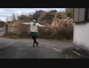 【2019年】Snow Wings　踊ってみた【初踊り】