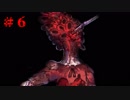 【実況】廃れた世界に取り残された少女　#6　ハスノウテナ
