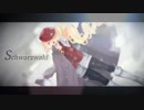 【桜乃そら】Schwarzwald／シュヴァルツヴァルト【オリジナル曲】