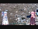 琴葉姉妹と何して遊ぼう　第6話　管釣りその2　小柿渓谷放流釣り場