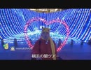 【野田草履】ドックヤードガーデン(横浜・造船所跡)イルミ