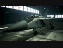 ACE COMBAT 7 字幕プレイ Part13