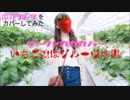 Cover『いちご娘はグルーヴ地獄』電気グルーヴ