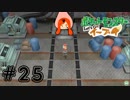 【無知炸裂】予想外の出逢い『Let's Go!イーブイ』#25