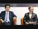 「韓国不要論」の非リアリズム？神戸大学大学院・簑原俊洋教授…結局何が言いたかったのか？（笑）
