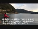 【かーびーの釣り日記】堤防泳がせウツボ釣りで大型連発！2017年1月