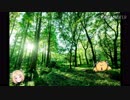 アキロゼの森
