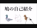 【バーチャル鳩】鳩の自己紹介