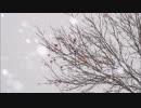 Memory of snow