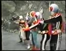ホモと見るSNPIRID