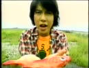 Time goes by…君がいるだけで / Bluem of Youth