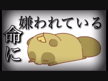 きっと誰もが涙する【オリジナルMV】まふまふ『命に嫌われている。』