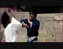 龍拳 DRAGON FIST ダイジェスト HD[High Definition]