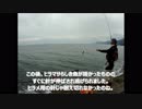 【かーびーの釣り日記】秋の磯釣り!投げサビキと泳がせで大物を狙う：2017年9月