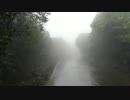 松下祥一　Driving Along A Foggy Road