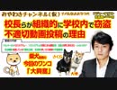 バカスタグラム（不適切動画）が投稿される理由と千葉の県立校長らが組織的に学校内で窃盗｜みやわきチャンネル（仮）#359