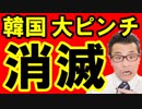 【韓国 速報】2019年 韓国経済消滅の日をシミュレーションしてみた結果がヤバすぎた！史上最悪の通貨危機で大ピンチ！海外の反応『KAZUMA Channel』