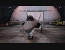 ACE COMBAT 7 字幕プレイ Part14