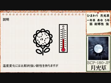 【ゆっくりSCP】SCP-180-JP　月光草