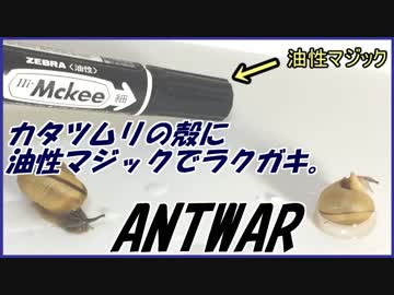 カタツムリに油性マジックで落書きしたら、すごいことがわかった！