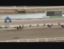 2019年2月10日高知競馬3R 博之未里の記念日特別(C2・C3混合) コンプレアンノ