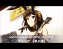God knows...涼宮ハルヒ(CV.平野綾)　歌ってみた　【菜叉羅】