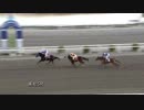 2019年2月10日高知競馬5R チーム・マリマリ協賛 祝齋藤プロ誕生日特別(C2-3組) アムールバローズ
