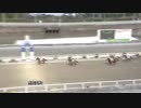 2019年2月10日高知競馬6R 多田さん協賛 多田さん起業記念特別(C2-2組) ロジテースト