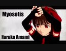 天海春香 「Myosotis」