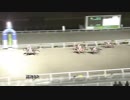2019年2月11日高知競馬8R サザンカ特別(C3-1組) ヘルツフロイント