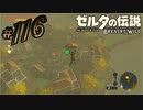 新作ゼルダを風タクしかやったことないうp主がプレイしてしまった part116