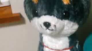 ジャパンネット銀行のVISAデビッド付きのキャッシュ＆ＴカードとJMBキャッシュ＆VISAカードの違い誰か教えてー