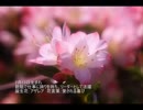 誕生日に贈る言葉～2月13日生まれの社交的なあなたに－聴きものがたり
