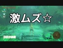 【趣味】拙いですがパンツでマスターになる【ゼルダの伝説ブレスオブザワイルド】pants53