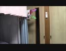 ホモと見るウサギ