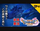 初見実況ドラゴンクエスト11 Part34～切なくも美しいお話～