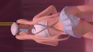 DOAX3 マリーちゃんのお尻だけ眺めたい。ファミ通賞水着
