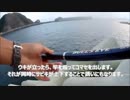 【かーびーの釣り日記】堤防サビキでまさかの大物！2017年9月