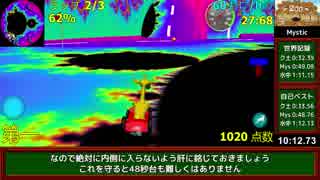 野生動物のレース(Wild Animal Racing) RTA 16:13.68