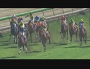 【ウイニングポスト８】トウカイテイオーの仔でＧⅠ勝利を目指す part103