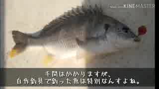 釣り風味動画「今年の釣果振り返り」編