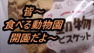 動物ビスケットを食べてみた。