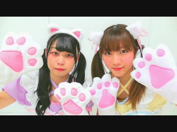 【めぐみと前ちゃん。】 すーぱーぬこわーるど 【踊ってみた】