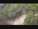 低山を歩こう 増位山系ぐるっと登山 20190210 part2