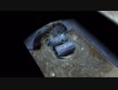 【生抜実況】ピクミン２　24日目午前