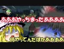 【マリオカート8DX】 踏んだり蹴ったりなマリカー実況【ゆっくり実況】