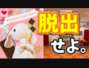 【うさぎ実況】大波乱のバレンタイン！？好きなあの子にピョンっとチョコを届けたい！-その2-