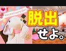 【うさぎ実況】大波乱のバレンタイン！？好きなあの子にピョンっとチョコを届けたい！-その1-